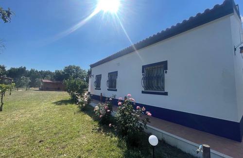 Canha Cottage | Tranquila Quinta Portuguesa a 45 Minutos de Lisboa com Arvores Frutos e Vinha