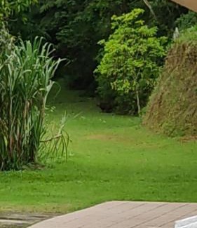 Capelinha House | Tranquilidade, Home office em Rancho Dini