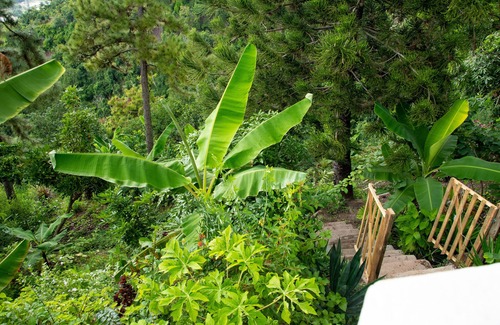 Jack's Hill Apartment | Tranquility Estate - Your Idyll In The Hustle And Bustle Of Kingston