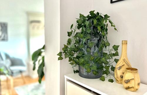 Cluj-Napoca Apartment | Travellers apartment