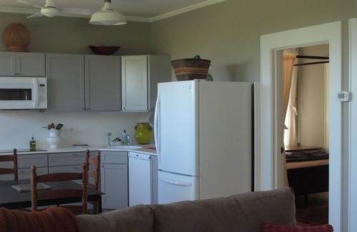 Travis Heights House | Travis Heights Apartment near SoCo, Downtown, Auditorium Shores, and Boardwalk