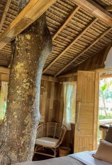Sebatu House | Tree bamboo house