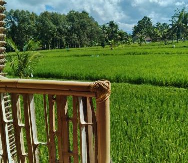Sebatu House | Tree bamboo house