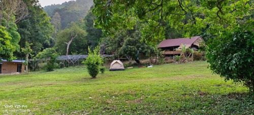 Krong Kaeb House | Tree Guest House kep