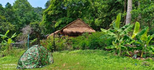 Krong Kaeb House | Tree Guest House kep