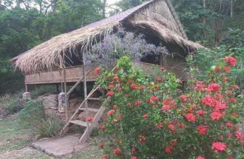 Krong Kaeb House | Tree Guest House kep