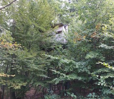 Kolarovice Other | Tree house with private meadow in the middle of the forest