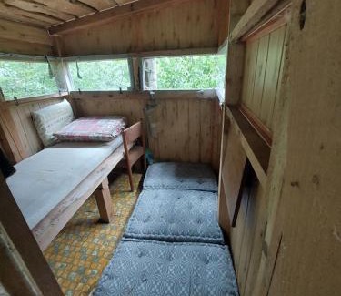 Kolarovice Other | Tree house with private meadow in the middle of the forest