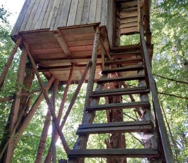 Kolarovice Other | Tree house with private meadow in the middle of the forest