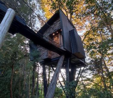 Puqueldon Cabin | TREE LODGE CHILOE