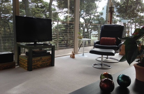 Inverness Apartment | Tree Top Glass House - Hi House