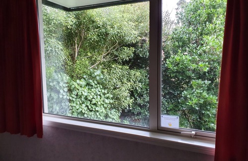 New Plymouth House | Tree Tops Apartment opposite Pukekura Park