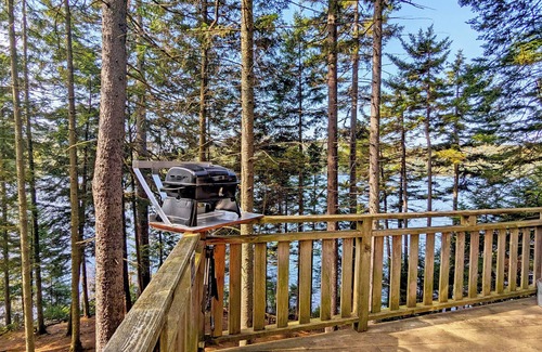 Saint-Faustin-Lac-Carre House | Treehouse #05 | The Bee