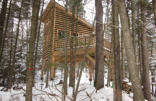 Saint-Faustin-Lac-Carre House | Treehouse #05 | The Bee