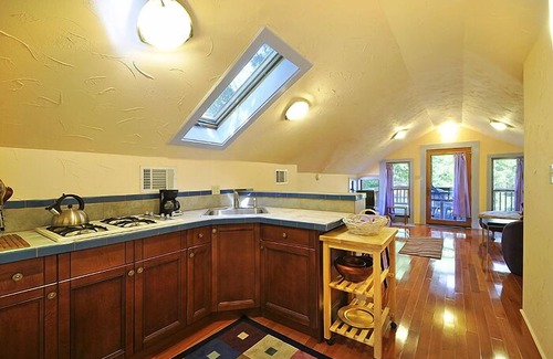 Holly Apartment | Treehouse Apt, Cute Converted Attic Apt. Above a House near Downtown