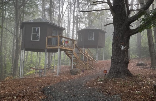 Hartland Cabin | Treehouse at Wise Pines- SoBo