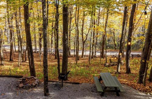 Riverton House | Treehouse Cabin in Riverton, WV