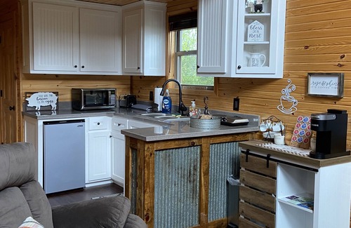 Paris Cabin | Treehouse/cabin with an amazing view of Mount Magazine