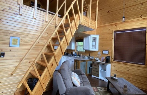 Paris Cabin | Treehouse/cabin with an amazing view of Mount Magazine