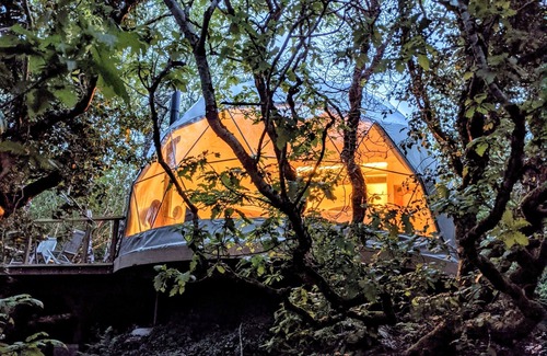 Clifden Cabin | Treehouse Dome @ Fernwood.eco with private sauna
