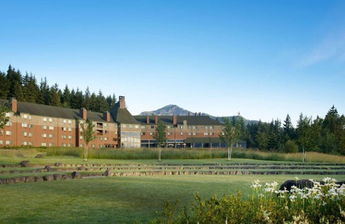 Stevenson Cabin | Treehouse Escape | Luxe Amenities + Tranquil Views