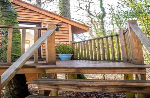 Beaworthy House | Treehouse in Germansweek near Dartmoor Trails