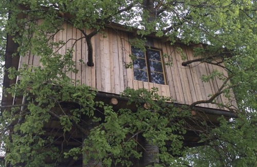 Avesta House | Treehouse Magpies Nest With Bubble Pool