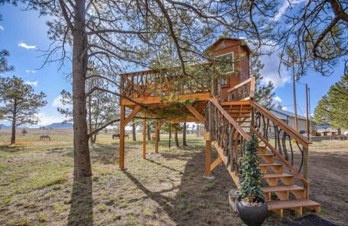 Larkspur Cabin | Treehouse Mountain Views Unique Ranch Experience