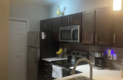 East Oak Hill Apartment | Treehouse on the Greenbelt only 10 minutes from Downtown