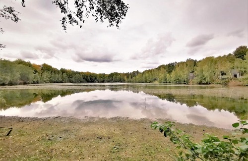 Maubray Villa | Treeloft adventure in nature for 4 people 14