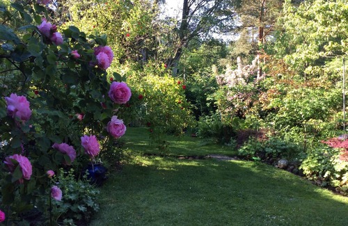 Alvern Apartment | Trees, shrubs, flowers, water, animals, garden, peace - and plenty of it