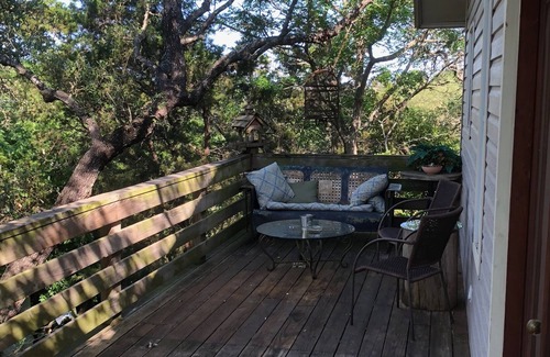 West Oak Hill Apartment | Treetop Cottage, 1BD/1BA 2nd story apartment--quiet and secluded