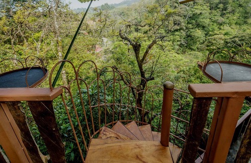 Monteverde House | Treetop House - Charming Artistic in the Canopy of Monteverde