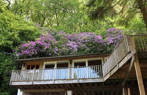 Oare Cottage | TREETOPS, pet friendly, with a garden in Woody Bay