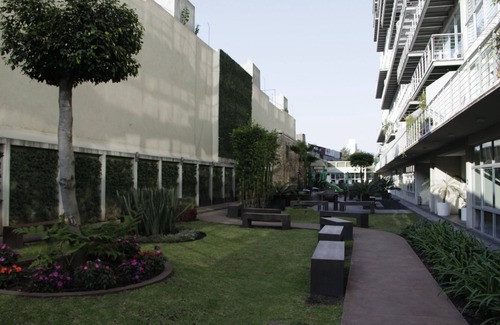 Del Valle Apartment | Trendy apartment full of amenities in Coyoacan