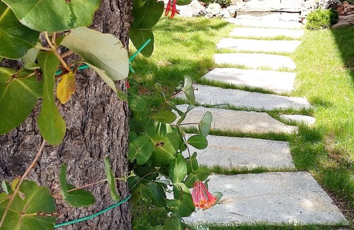 Peio Apartment | Trentino, valle di sole, casa donatella, parconazionaledellostelvio peio