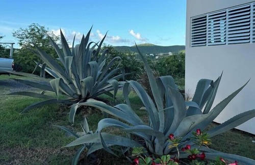 Playa Sardinas I Apartment | Tres Bahías Eco Villas East Port Studio
