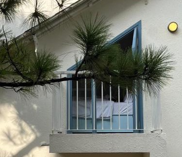 Da Lat Apartment | Triền Thông An Nhiên Đà Lạt Rừng Trong Phố