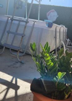 Salinas House | Trinitarias House Piscina karaoke Bar wifi