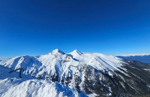Voineasa Apartment | Triple room with Balcony Transalpina Ski Resort - TRI1