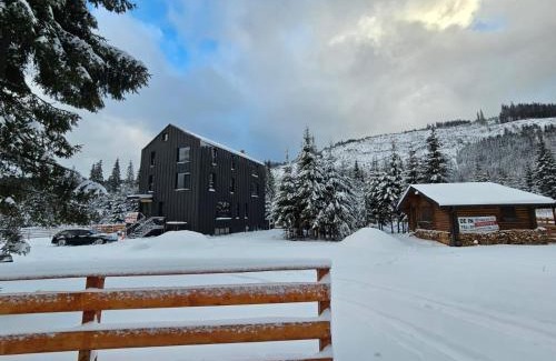 Voineasa Apartment | Triple room with Balcony Transalpina Ski Resort - TRI2