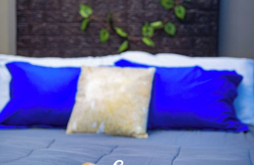 Charlotte House | Tropic Nook