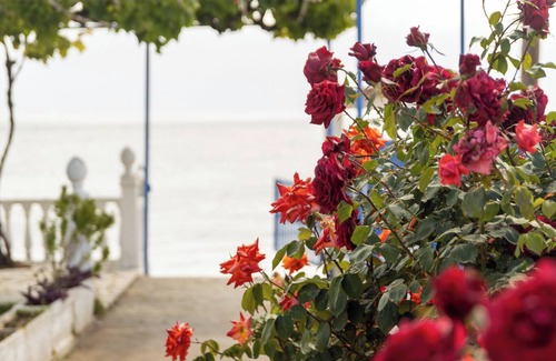 Petalidi House | Tropical Beach "Orion"nWhere your holiday starts with only your swimsuit on!
