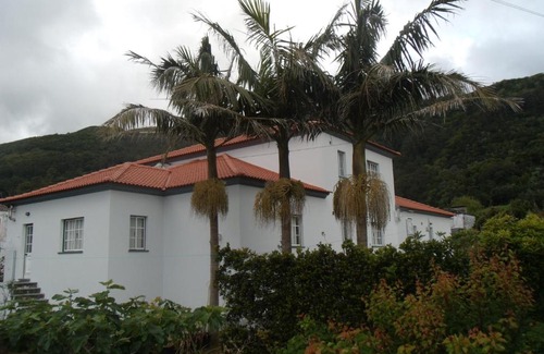 Velas House | Tropical Fruit Garden