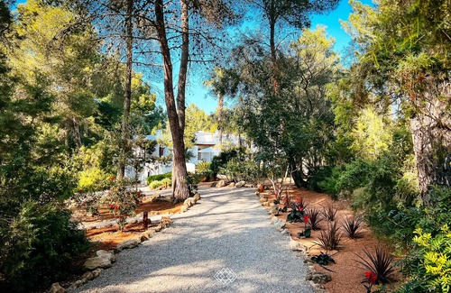 Santa Eulalia del Rio Villa | Tropical paradise for max 16 guests, pool, cinema