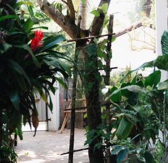 Pottuvil Division 2 House | Tropicana Home Stay
