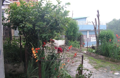 Laitumkhrah House | Troya Home Stay - Not a Hotel! Come stay in a Home!