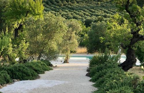 Ceglie Messapica House | Trulli delle Stelle