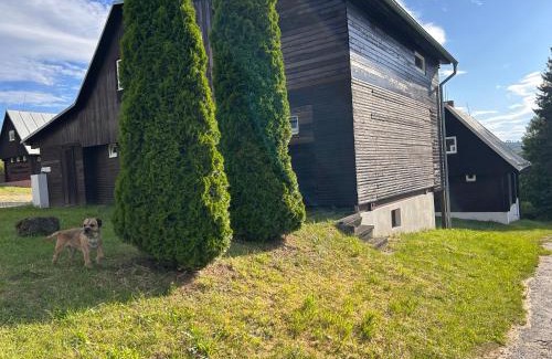 Cichov House | TS Jalovec - chata B