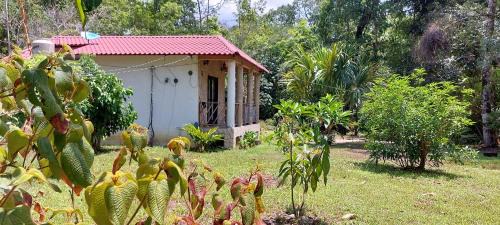 Lacanja Apartment | Tu Casa en la Selva Lacandona